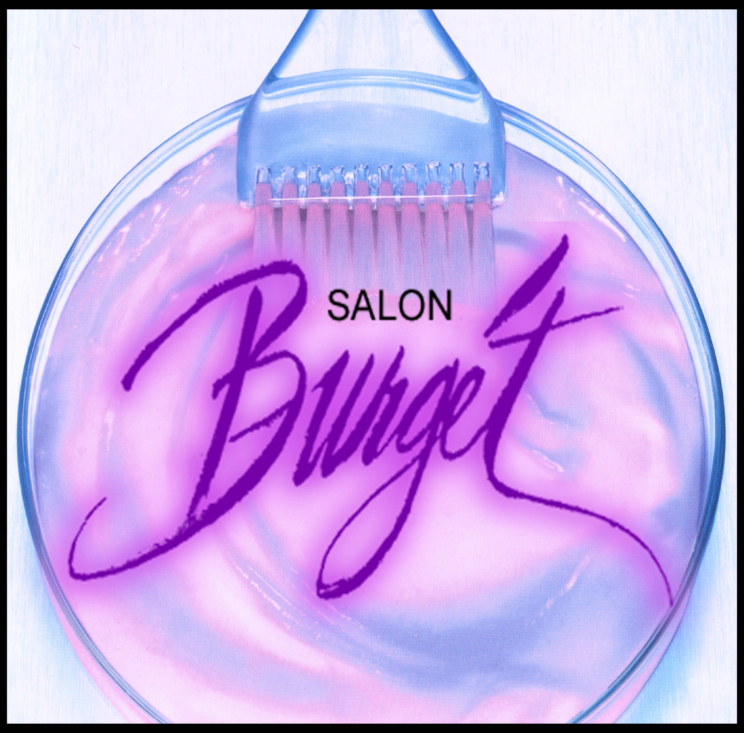 hair coloring salon burget